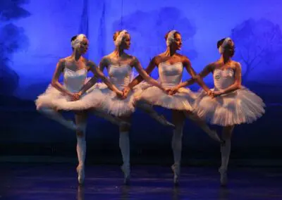 Swan Lake’s Little Swans