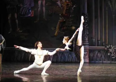 Swan Lake’s Prince Siegfried and the Black Swan