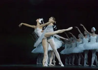 Swan Lake’s Prince Siegfried and the White Swan