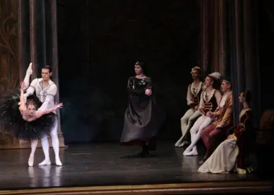 Talmi Entertainment’s Swan Lake and the Black Swan